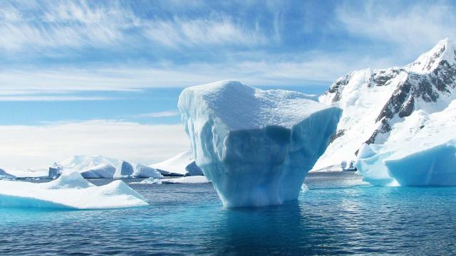 iceberg.jpg